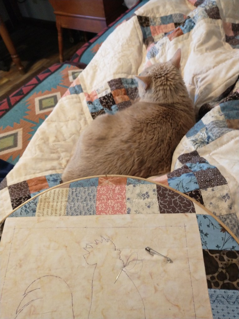 cat laying on quilt